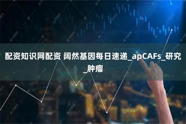 配资知识网配资 阔然基因每日速递_apCAFs_研究_肿瘤