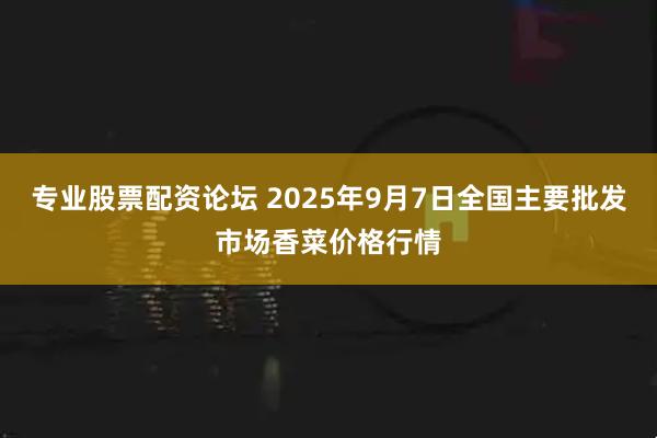 专业股票配资论坛 2025年9月7日全国主要批发市场香菜价格行情
