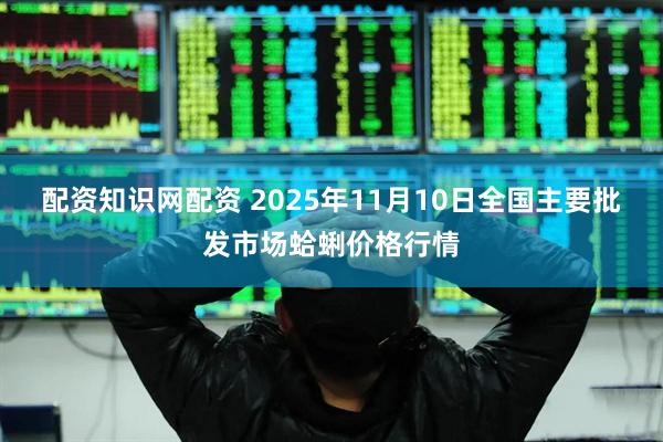 配资知识网配资 2025年11月10日全国主要批发市场蛤蜊价格行情